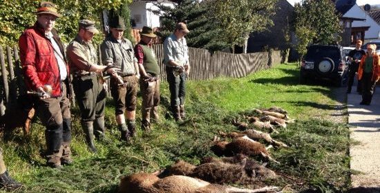 Kachel Jagdbedingungen