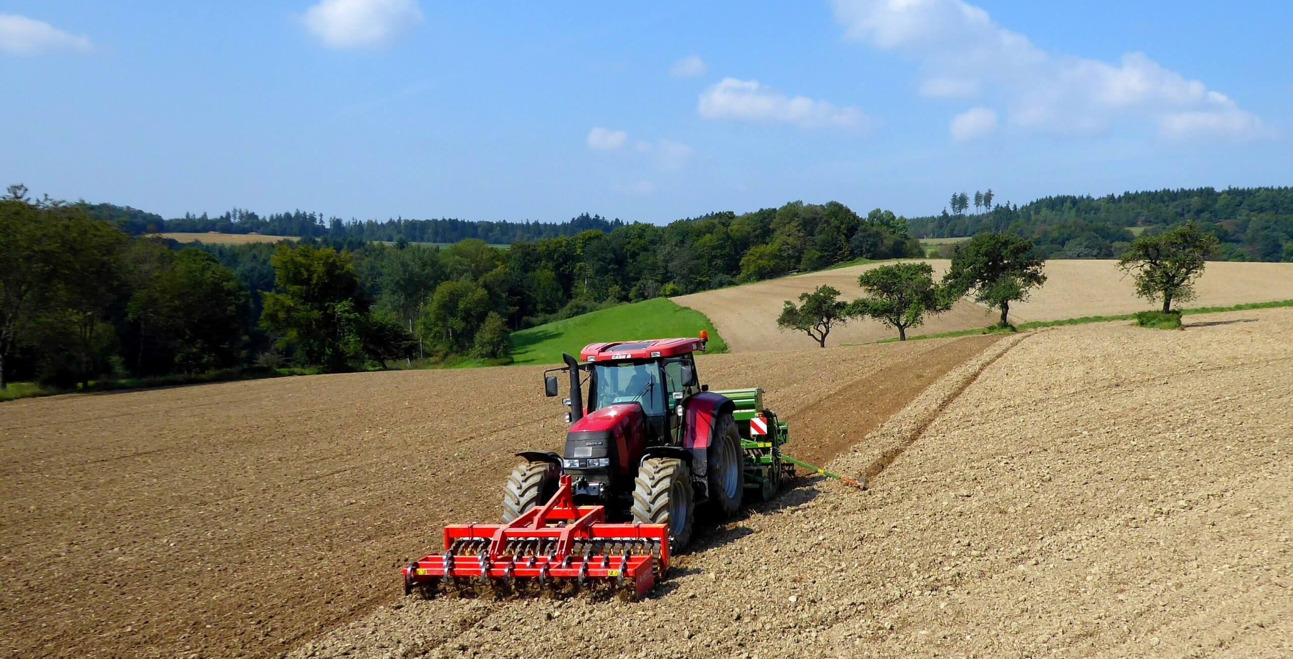 2017_Nach der Ernte ist vor der Ernte_LI